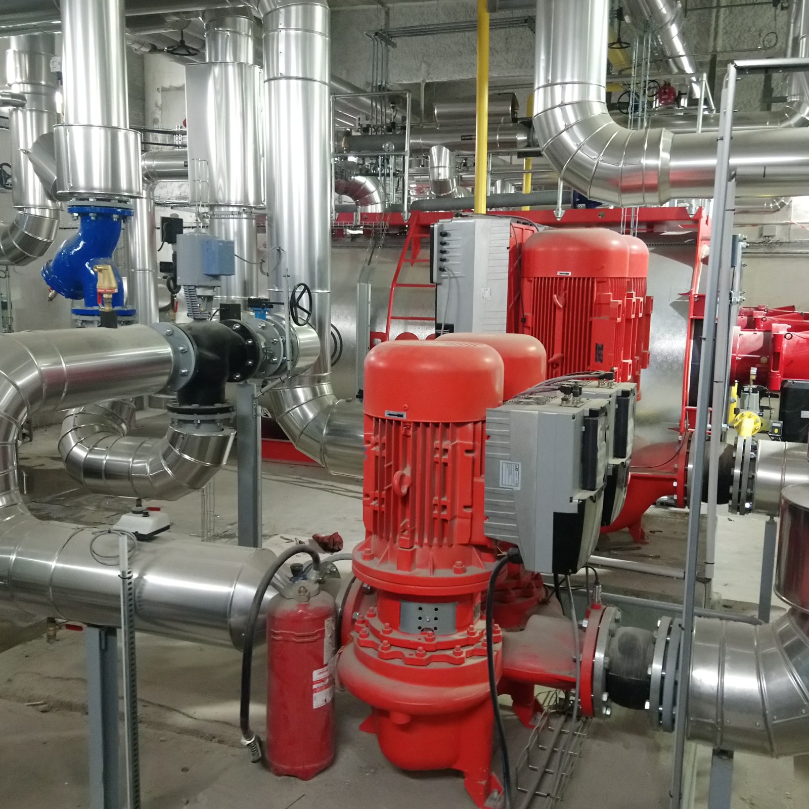 <?php echo pulse_output(); ?>