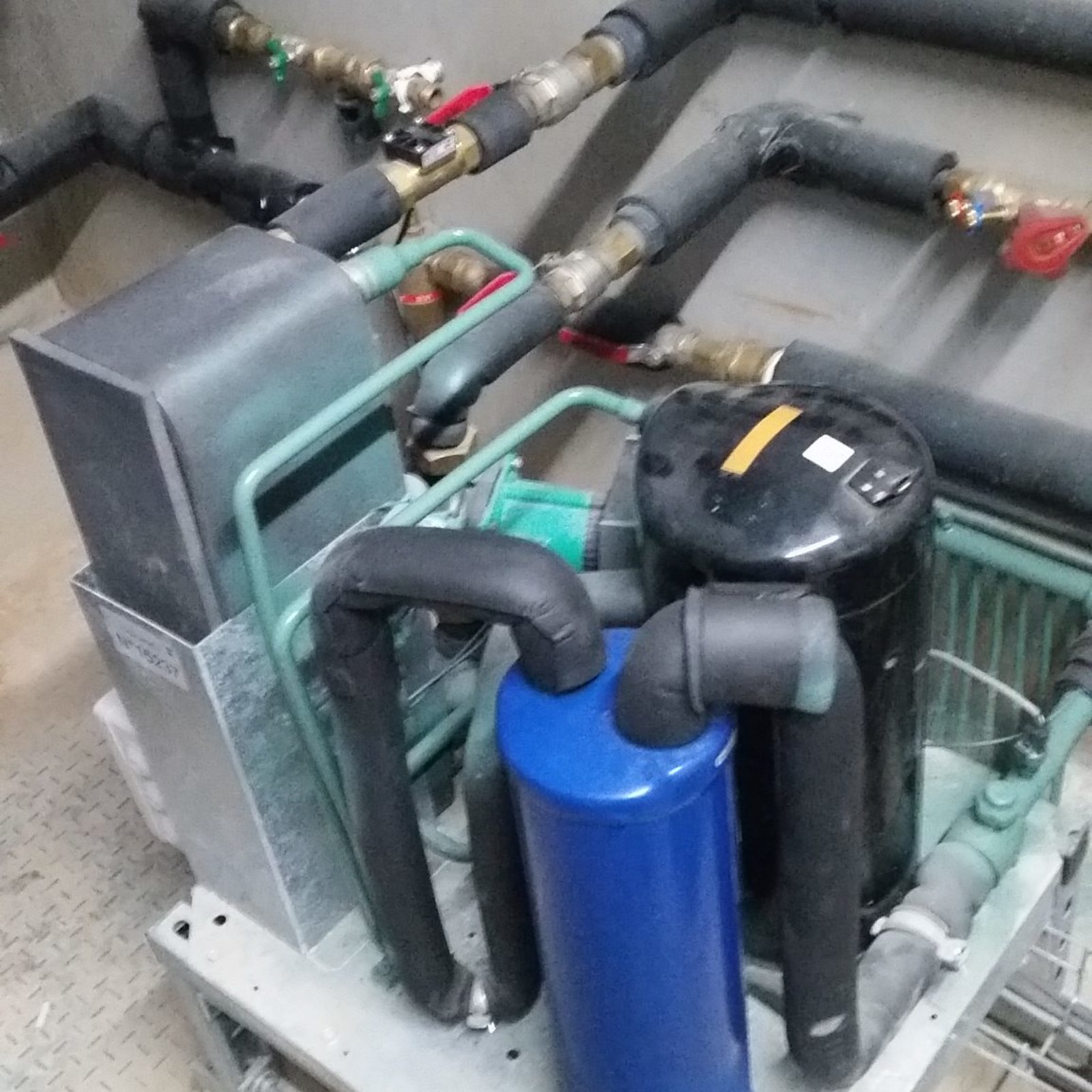 <?php echo pulse_output(); ?>