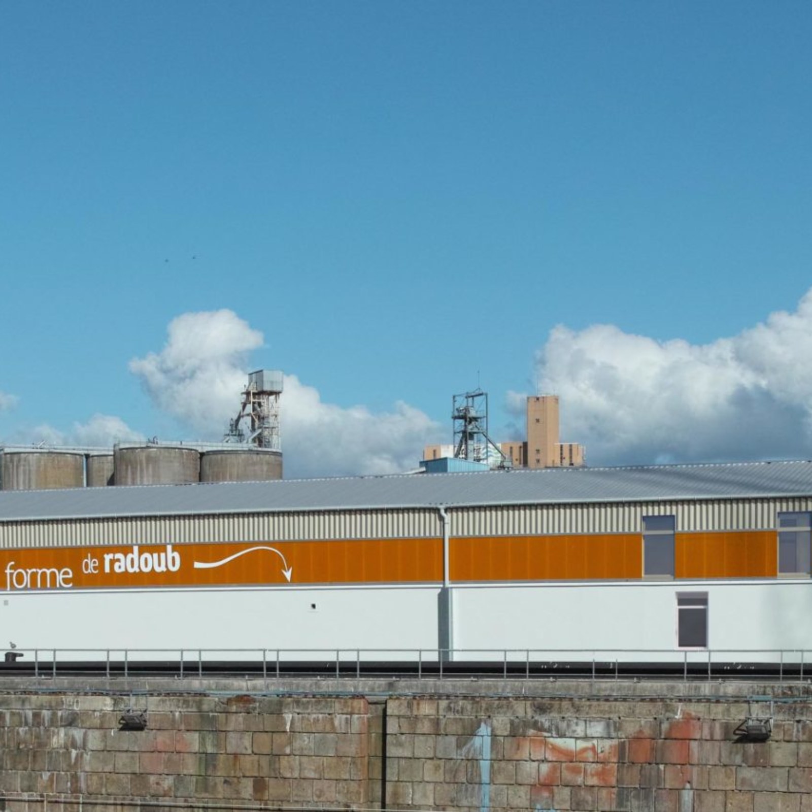 <?php echo pulse_output(); ?>