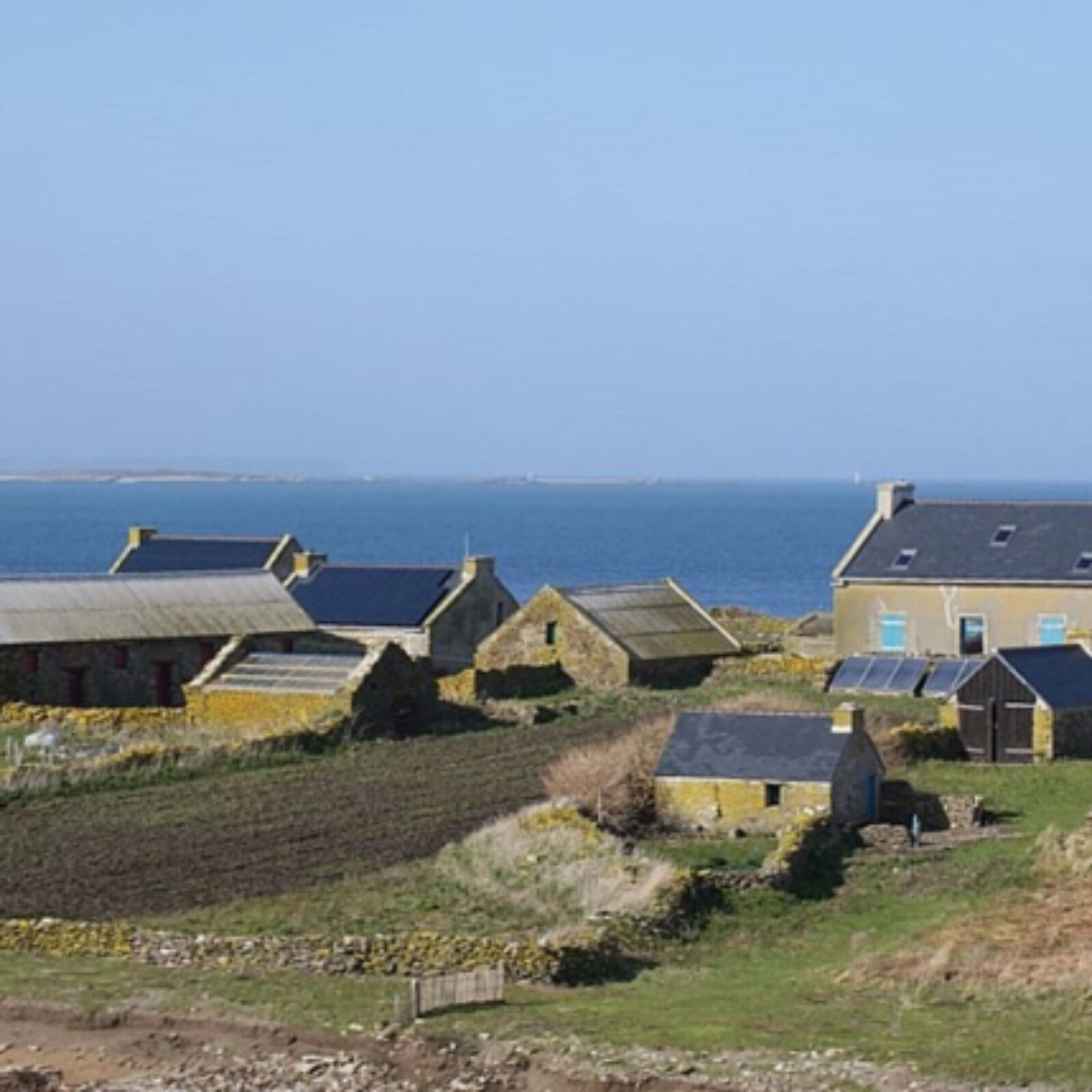 <?php echo pulse_output(); ?>